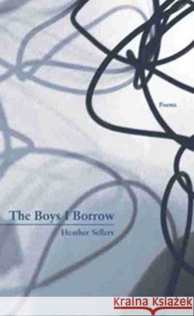 The Boys I Borrow Heather Sellers 9781930974715 Western Michigan University, New Issues Press