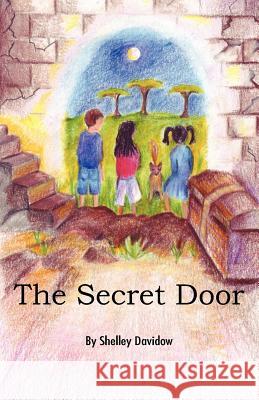 The Secret Door Shelley Davidow 9781931061438 Jalmar Press