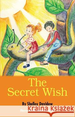 The Secret Wish Shelley Davidow Carol Liknaitzky 9781931061513