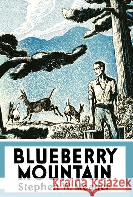 Blueberry Mountain Stephen W. Meader 9781931177306