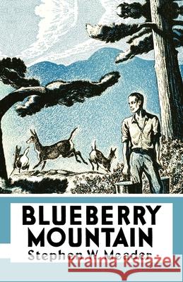 Blueberry Mountain Stephen W. Meader 9781931177313