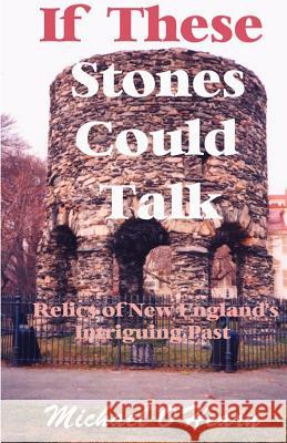 If These Stones Could Talk: Relics of New England's Intriguing Past O'Hearn, Michael 9781931391023 Booklocker.com