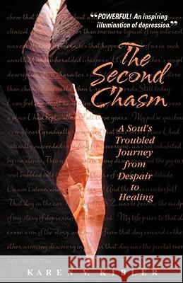 The Second Chasm: A Soul's Troubled Journey from Despair to Healing Kibler, Karen V. 9781932279313 Wyatt-MacKenzie Publishing