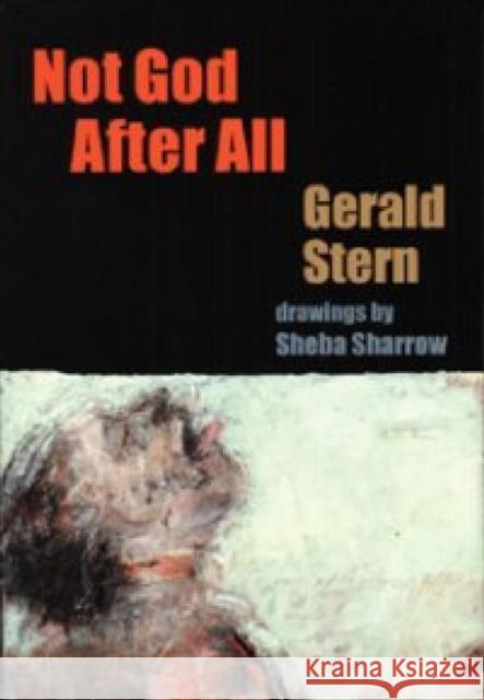 Not God After All Gerald Stern 9781932870022