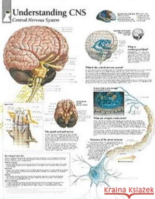 Understanding CNS Paper Poster Scientific Publishing 9781932922059 Scientific Publishing