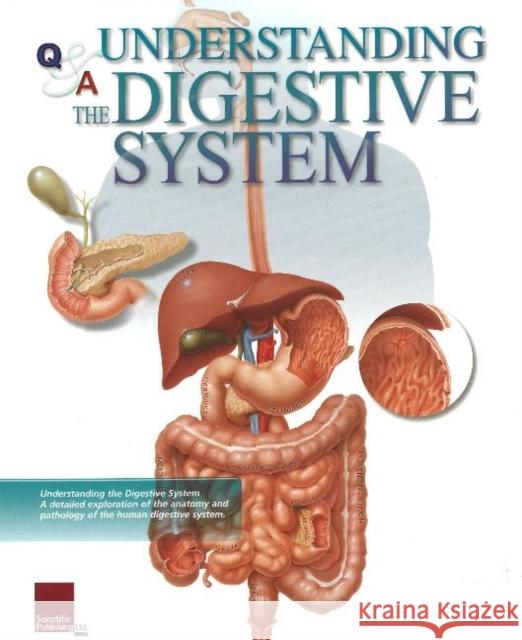 Understanding the Digestive System Flip Chart Scientific Publishing 9781932922318 Scientific Publishing