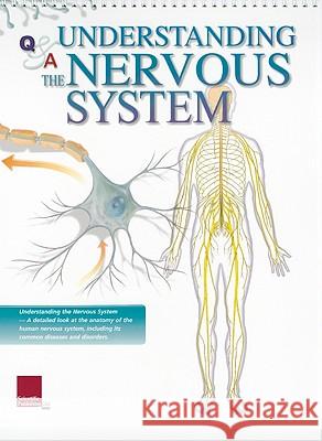 Understanding the Nervous System Flip Chart Scientific Publishing 9781932922875 Scientific Publishing