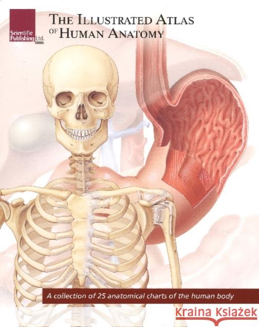 Illustrated Atlas of Human Anatomy: A Collection of 25 Anatomical Charts of the Human Body Scientific Publishing 9781932922950 Scientific Publishing