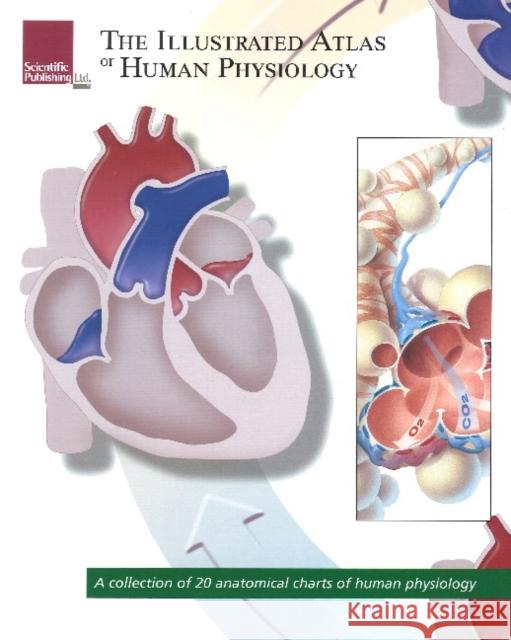 Illustrated Atlas of Human Physiology: A Collection of 20 Anatomical Charts of Human Physiology Scientific Publishing 9781932922981 Scientific Publishing