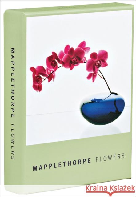 Mapplethorpe Flowers Notecard Box The Robert Mapplethorpe Foundation 9781933427041