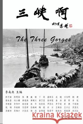 The Three Gorges Nanyang Li Qing Dai 9781933447612 Fellows Press of America, Inc.