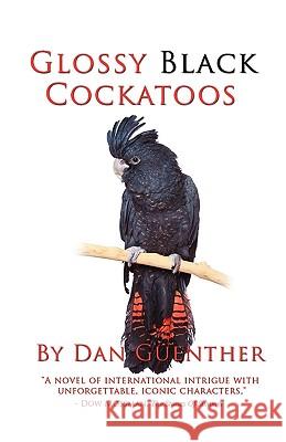 Glossy Black Cockatoos Dan Guenther 9781933704043