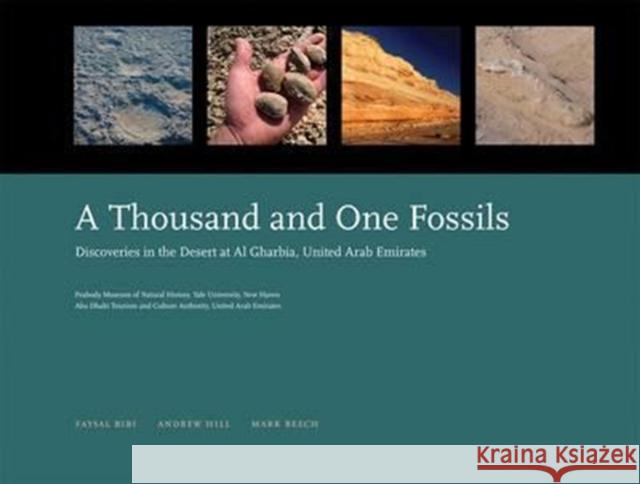 A Thousand and One Fossils: Discoveries in the Desert at Al Gharbia, United Arab Emirates Faysal Bibi Andrew Hill Mark Beech 9781933789071 Yale Peabody Museum
