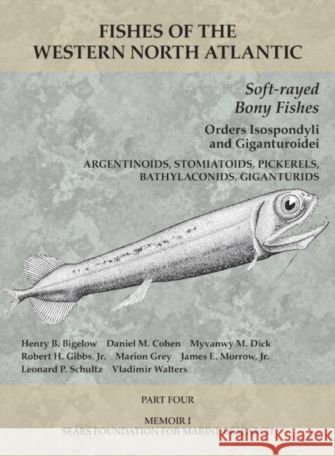 Soft-Rayed Bony Fishes: Orders Isospondyli and Giganturoidei: Part 4 Yngve H. Olsen 9781933789149 Yale Peabody Museum