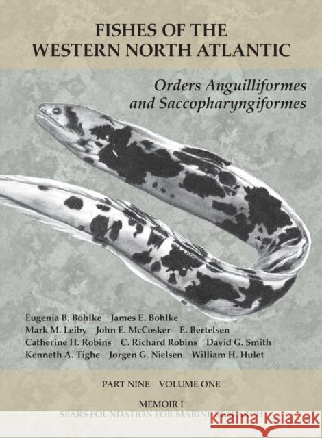 Orders Anguilliformes and Saccopharyngiformes: Part 9, Volume 1 Eugenia B. Bohlke 9781933789194 Yale Peabody Museum