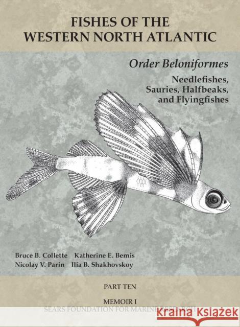 Order Beloniformes: Needlefishes, Sauries, Halfbeaks, and Flyingfishes: Part 10 Thomas J. Near Bruce B. Collette 9781933789217 Yale Peabody Museum
