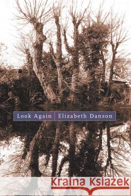 Look Again: Poems Elizabeth Danson 9781933974330 Ragged Sky Press