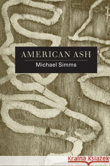 American Ash: Poems Michael SIMMs 9781933974392 Ragged Sky Press