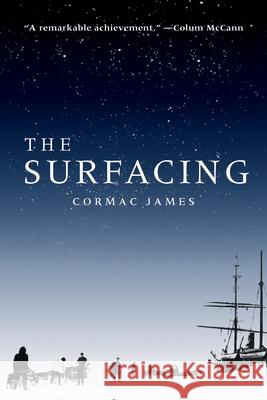 The Surfacing Cormac James 9781934137925 Bellevue Literary Press