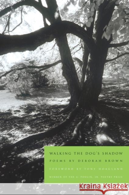 Walking the Dog's Shadow: Poems Deborah Brown 9781934414477 BOA Editions