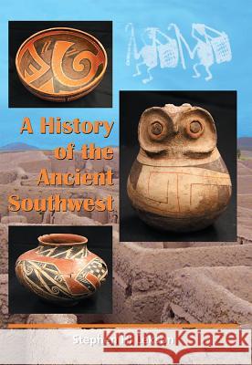 A History of the Ancient Southwest  9781934691106 SAR Press