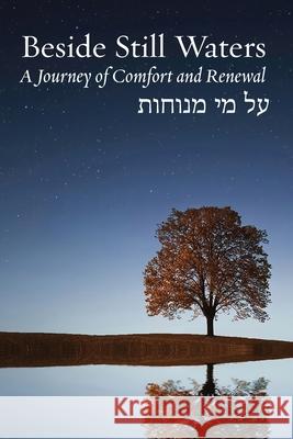 Beside Still Waters: A Journey of Comfort and Renewal Rachel Barenblat 9781934730010 Ben Yehuda Press