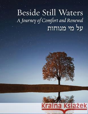 Beside Still Waters: A Journey of Comfort and Renewal - Large Print Edition Rachel Barenblat 9781934730034 Ben Yehuda Press