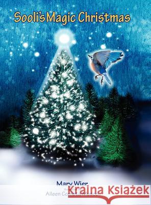 Sooli's Magic Christmas Mary B. Wier Aileen Cometa Musco Karen P. Stone 9781935186335 Waldenhouse Publishers, Inc.