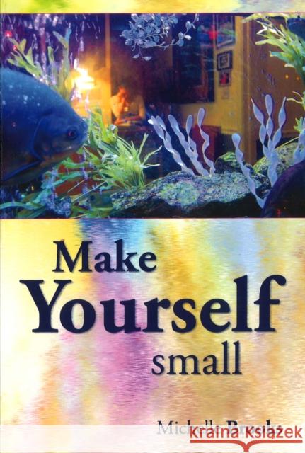 Make Yourself Small Michelle Brooks   9781935218265