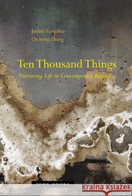 Ten Thousand Things: Nurturing Life in Contemporary Beijing Farquhar, Judith 9781935408185 0