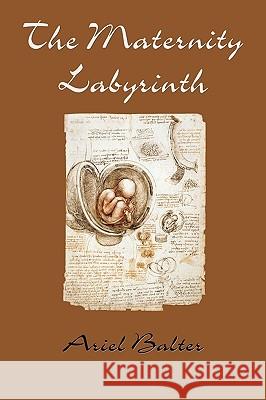 The Maternity Labyrinth Ariel Baltar 9781935514541 Plain View Press