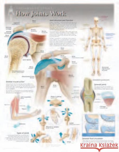 How Joints Work Laminated Poster Scientific Publishing 9781935612018 Scientific Publishing Limited