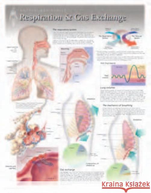 Respiration & Gas Exchange Laminated Poster Scientific Publishing 9781935612032 Scientific Publishing Limited