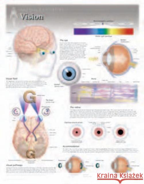 Vision Laminated Poster Scientific Publishing 9781935612087 Scientific Publishing Limited