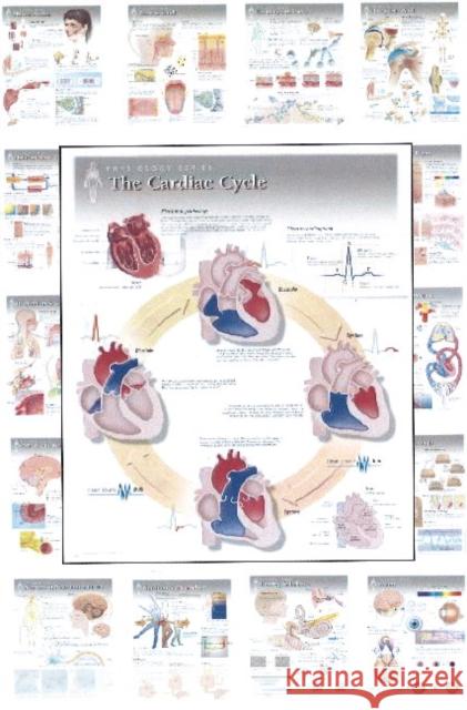 Complete Set of All 20 Physiology Charts Scientific Publishing 9781935612223 Scientific Publishing Limited