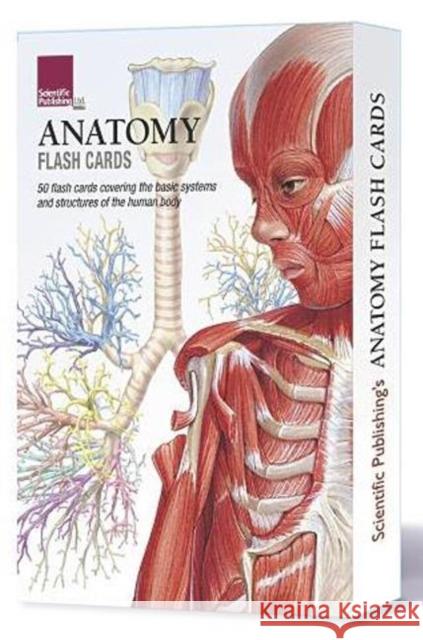 Anatomy Flash Cards Scientific Publishing 9781935612278 Scientific Publishing Limited