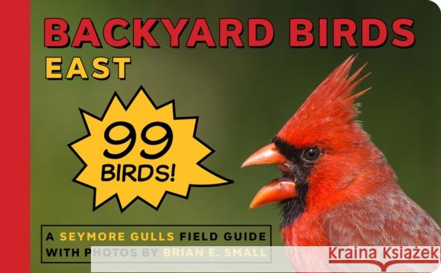 Backyard Birds: East Seymore Gulls 9781935622772 Scott & Nix, Inc.