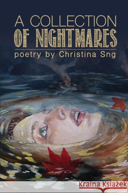 A Collection of Nightmares Christina Sng 9781935738985 Raw Dog Screaming Press