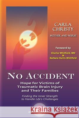 No Accident: Hope for Victims of Traumatic Brain Injury and Their Families Christy, Carla 9781935827122 Down by the Sea Publishing House