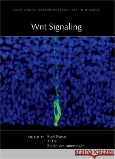 Wnt Signaling Roeland Nusse XI He Renee Va 9781936113231 Cold Spring Harbor Laboratory Press