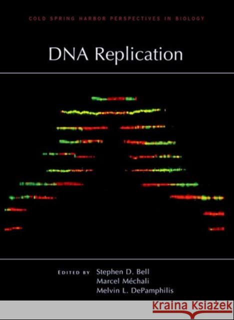 DNA Replication Marcel Mechali Melvin L. Depamphilis Stephen D. Bell 9781936113484