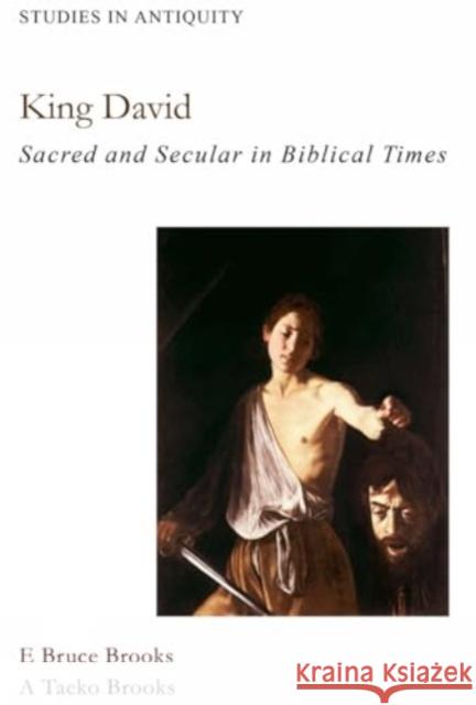 King David: Sacred and Secular in Bible Times E. Bruce Brooks A. Takeo Brooks 9781936166213