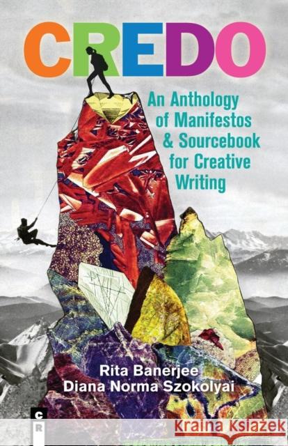 Credo: An Anthology of Manifestos & Sourcebook for Creative Writing Banerjee, Rita 9781936196838