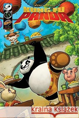 Kung Fu Panda 2 Movie Prequel Matt Anderson, Dan Schoening 9781936340361 Ape Entertainment