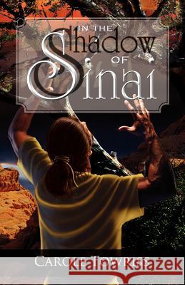 In the Shadow of Sinai Carole Towriss 9781936341481