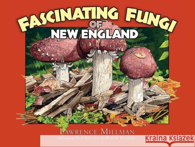 Fascinating Fungi of New England Lawrence Millman 9781936571017 Kollath Stensaas