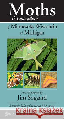 Moths & Caterpillars of Minnesota, Wisconsin & Michigan Jim Sogaard 9781936571178 Kollath-Stensaas Publishing