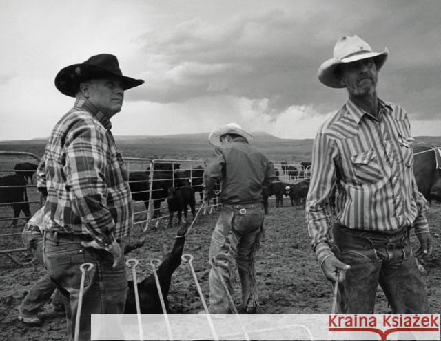 John Langmore - Open Range John Langmore 9781936611164 Twin Palms Publishers