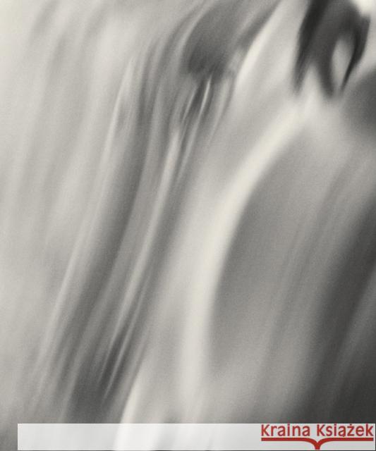 Henry O. Head: Twelve Acres Henry Head 9781936611249 Twin Palms Publishers