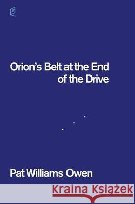 Orion's Belt at the End of the Drive Pat Williams Owen 9781936628476